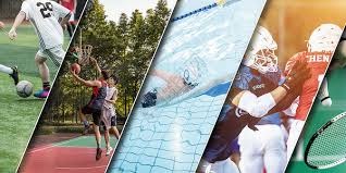 洛杉矶道奇队宣布 2025 年球队周边产品全球销售额突破 5 亿美元