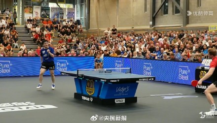 引来不少其 引来不少其